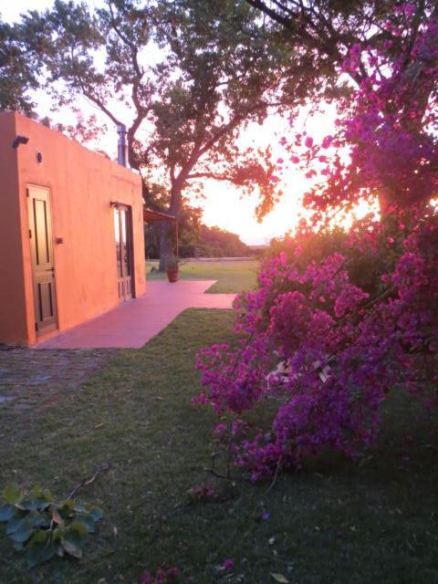 La Casona De San Pedro Villa Colonia del Sacramento Exterior foto